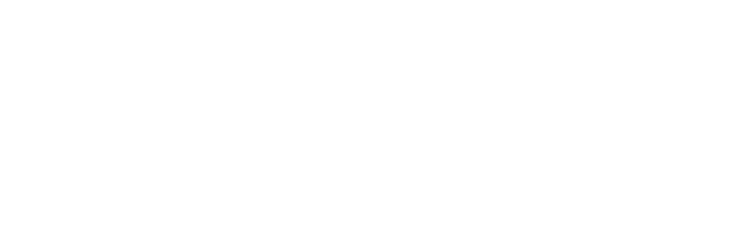 Grupo Silva